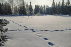 foto00003