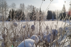 foto00004