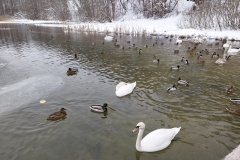 foto00074