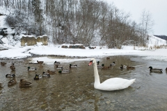 foto00075