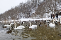 foto00076
