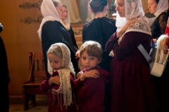 foto00230
