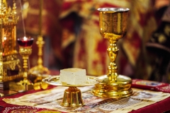 Архиерейское служение на Черниговском подворье города Москвы